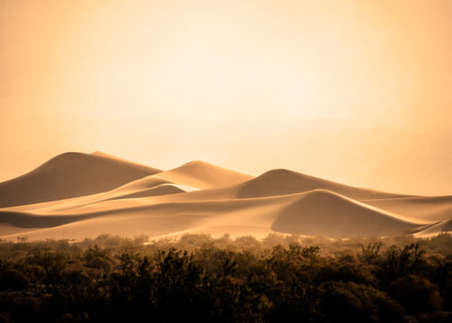 Mesquite Dunes