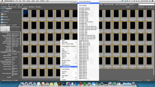 Mass Processing Negatives